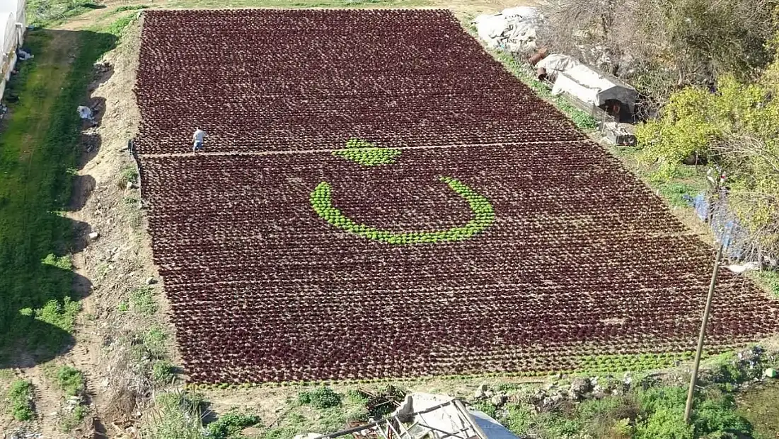 ANTALYA’DA 13 BİN MARULLA TÜRK BAYRAĞI FİGÜRÜ