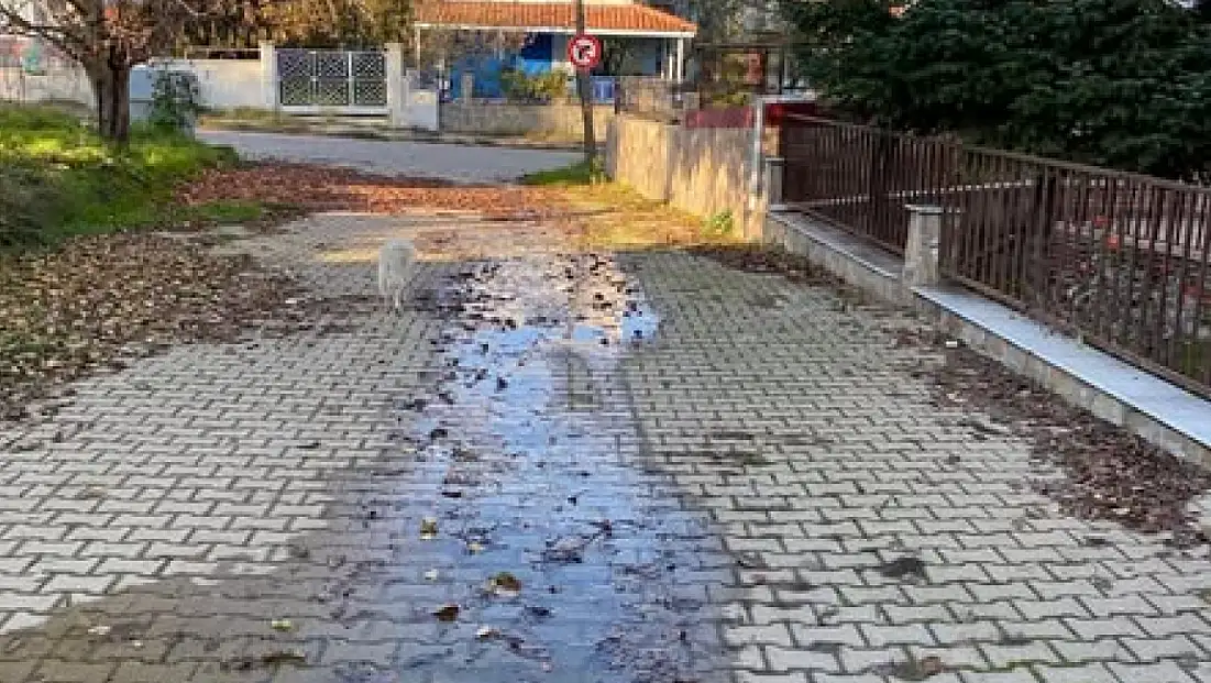 Gölcük Mahallesi Çiçek Sokak’ta Su Sızıntısı Vatandaşları Endişelendirdi