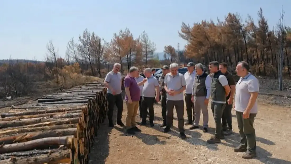 İzmir ve Manisa’da yangın yaraları sarılıyor