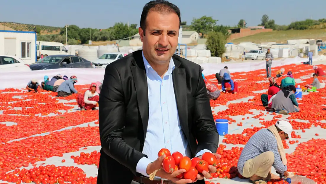 Kuru Domates Dünya İkinciliğinde Torbalı Etkisi