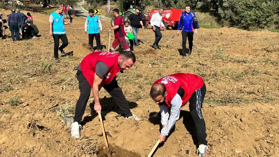 Ödemiş Gençlik Merkezi, Yangın Bölgesinde Fidan Dikti