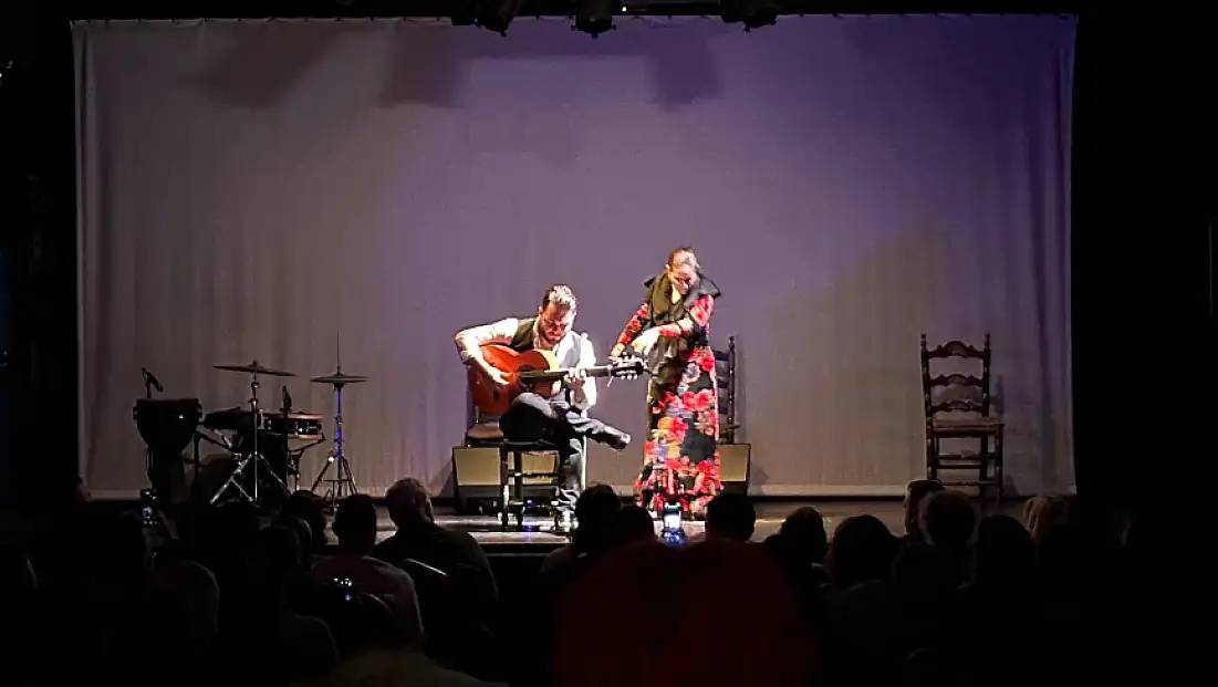 Ritmin Ateşi: Flamenko