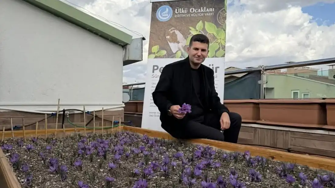 Terasın Üstünde Yeşeren Umut: Ülkü Ocakları’nda Safran Hasadı