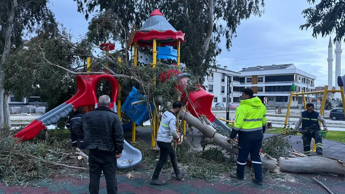 Tire Belediyesi Ekipleri, Fırtına Mesaisinde