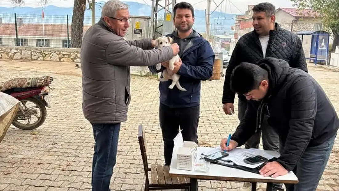 Tire’de Mikroçip ve Kuduz Aşısı Sahada Hızlandı