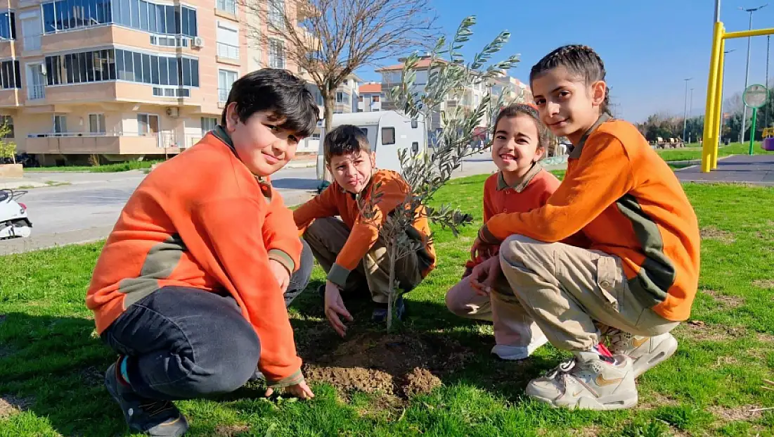 Tire’de Öğrenciler, Zeytin Fidanlarını Toprakla Buluşturdu