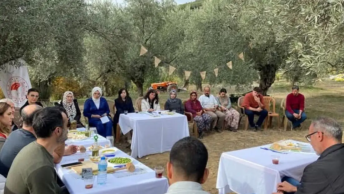 Tire’de Zeytin Ağacı Günü Etkinliği Gerçekleştirildi