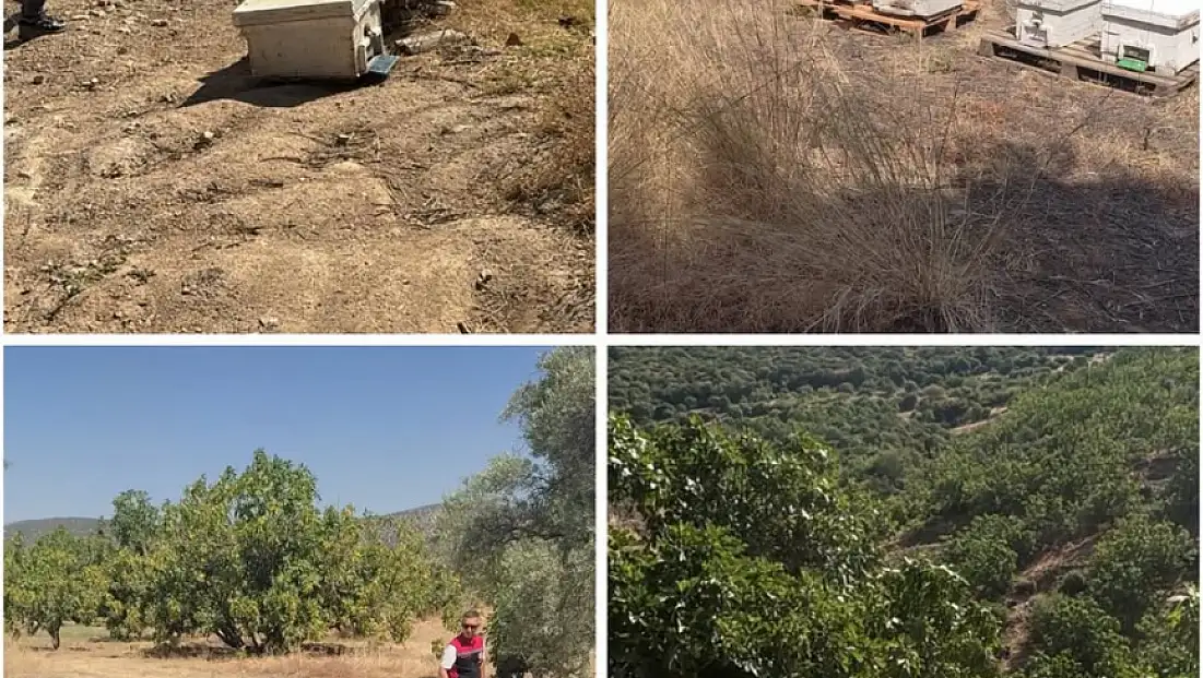 Tire İlçe Tarım ve Orman Müdürlüğü’nden Kapsamlı Denetim ve Tespit Çalışmaları