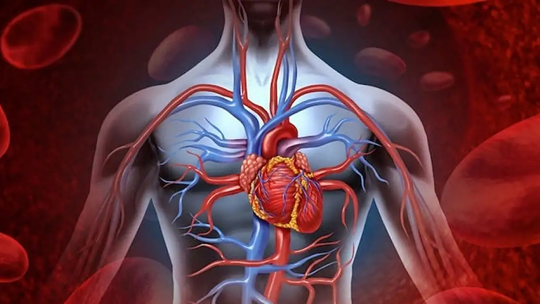2022’de Bireylerin Ölüm Nedenleri Açıklandı: Dolaşım Sistemi Hastalıkları İlk Sırada