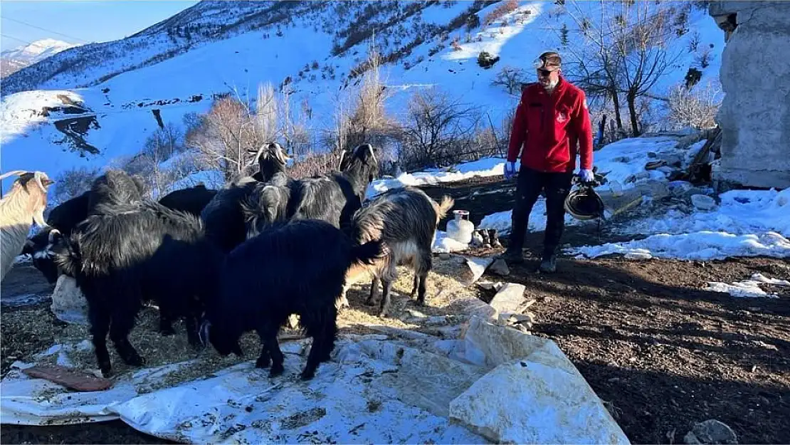 25 küçükbaş hayvan afetten sağ çıktı