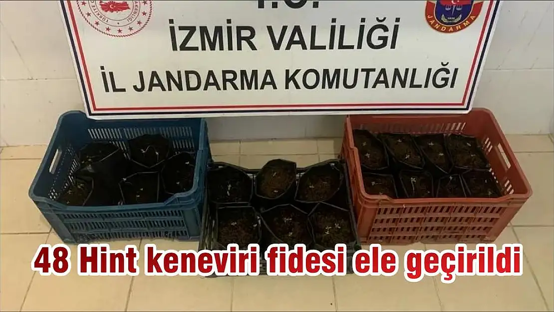 48 Hint keneviri fidesi ele geçirildi