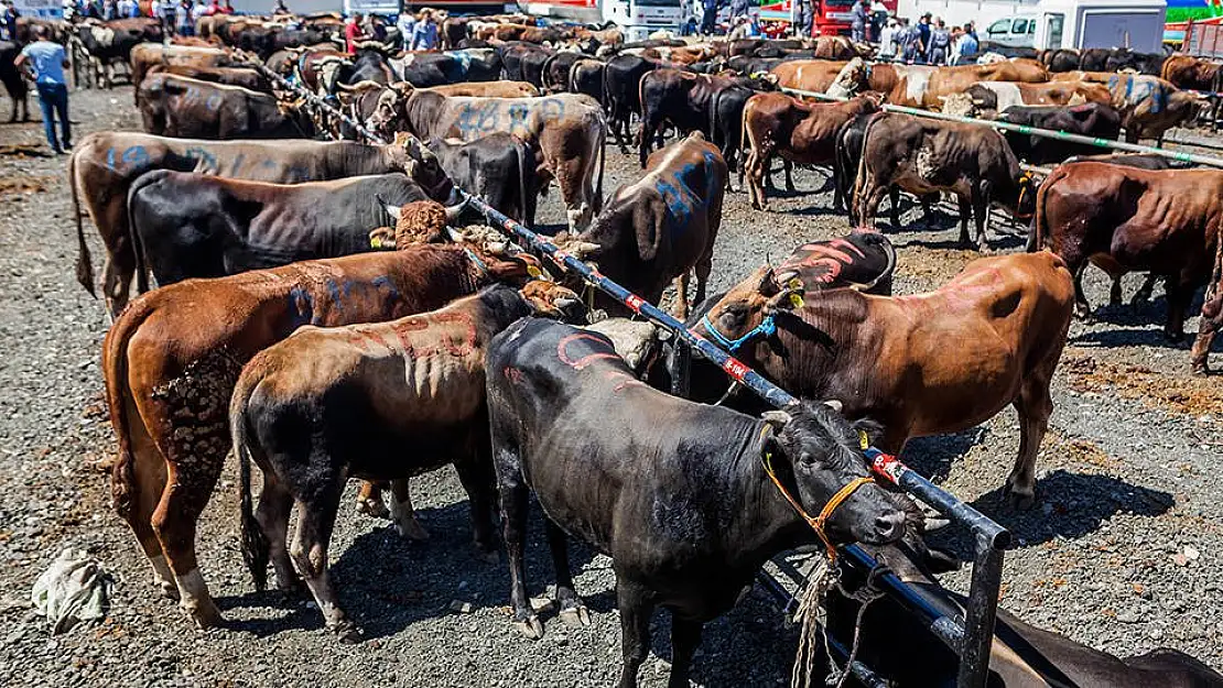 AFAD’dan kurban bağışı kampanyası