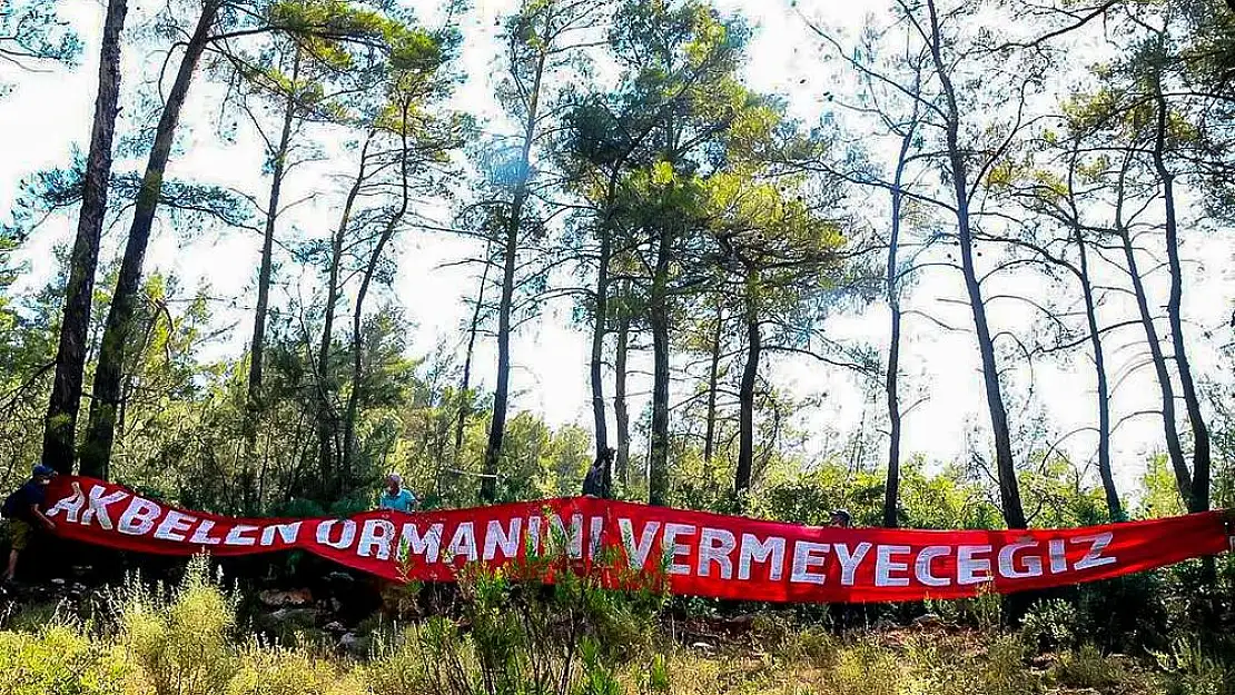 Akbelen hala hayatta “Henüz geç değil”