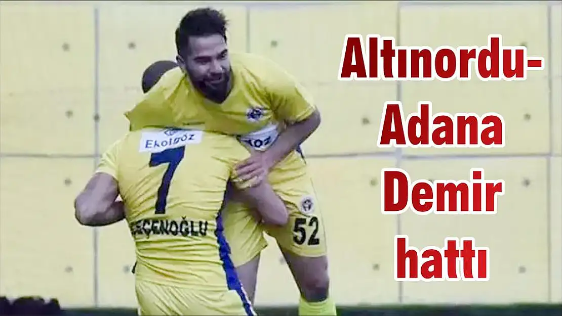 Altınordu- Adana Demir hattı