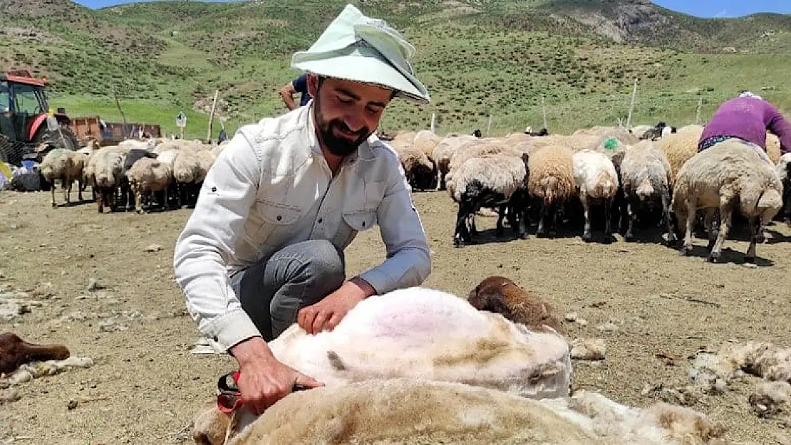 Anadolu’da İranlı çoban dönemi