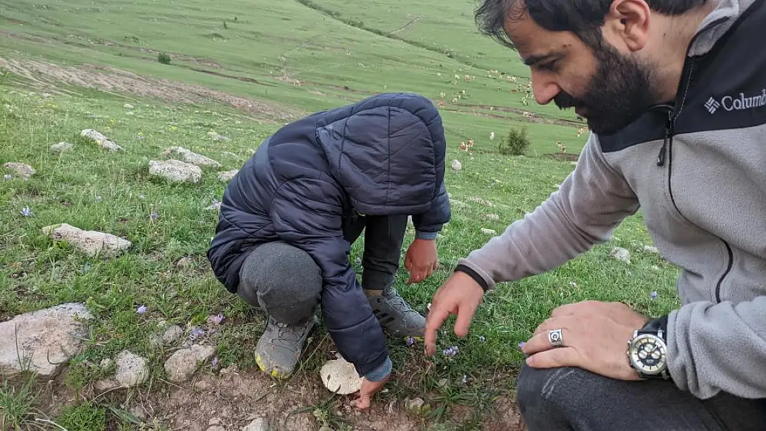 Ardahan’da Yağmur Sonrası Vatandaşlar, Aileleriyle Birlikte Mantar Toplama Sevinci Yaşıyor