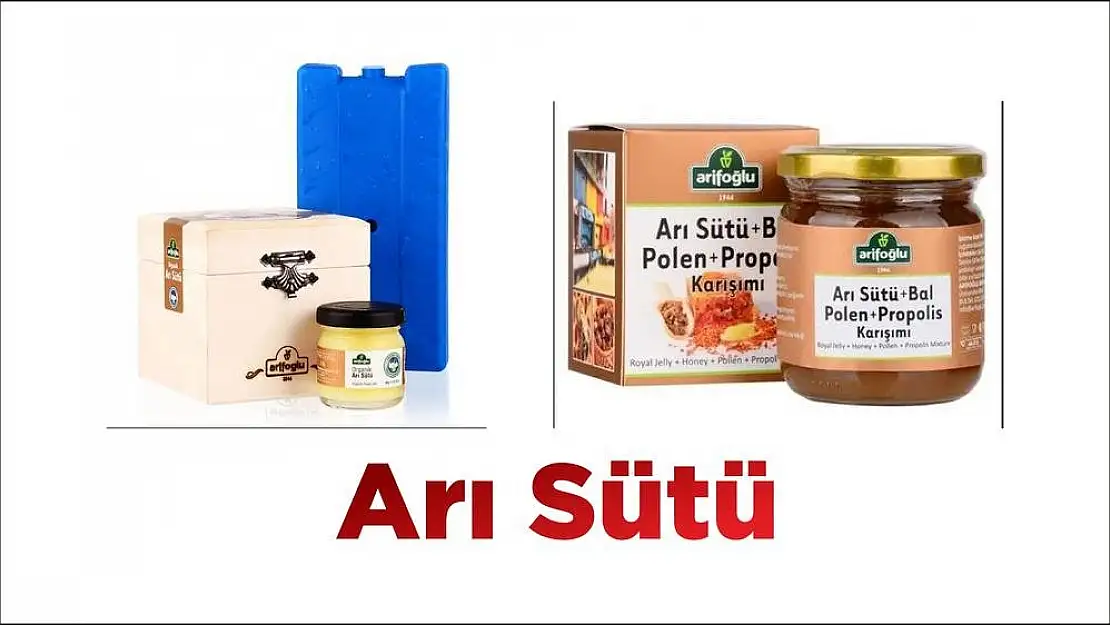 Arı Sütü