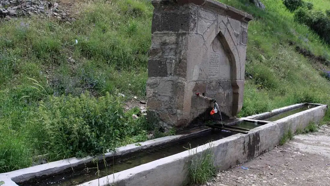 Artvin'in köy çeşmesinde yeni canlı bulundu