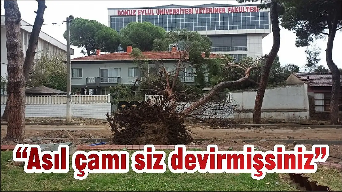 'Asıl çamı siz devirmişsiniz'