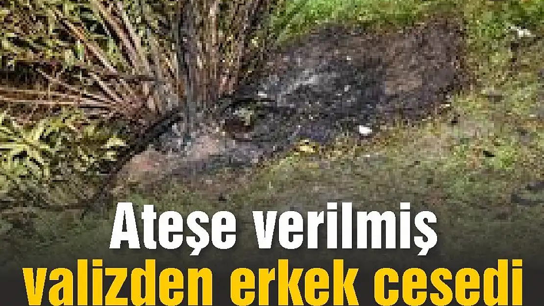 Ateşe verilmiş valizden erkek cesedi