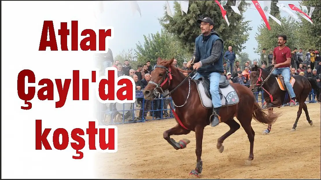 Atlar Çaylı'da koştu
