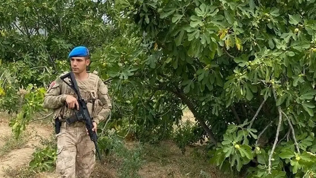 Aydın'da jandarma incir nöbetinde