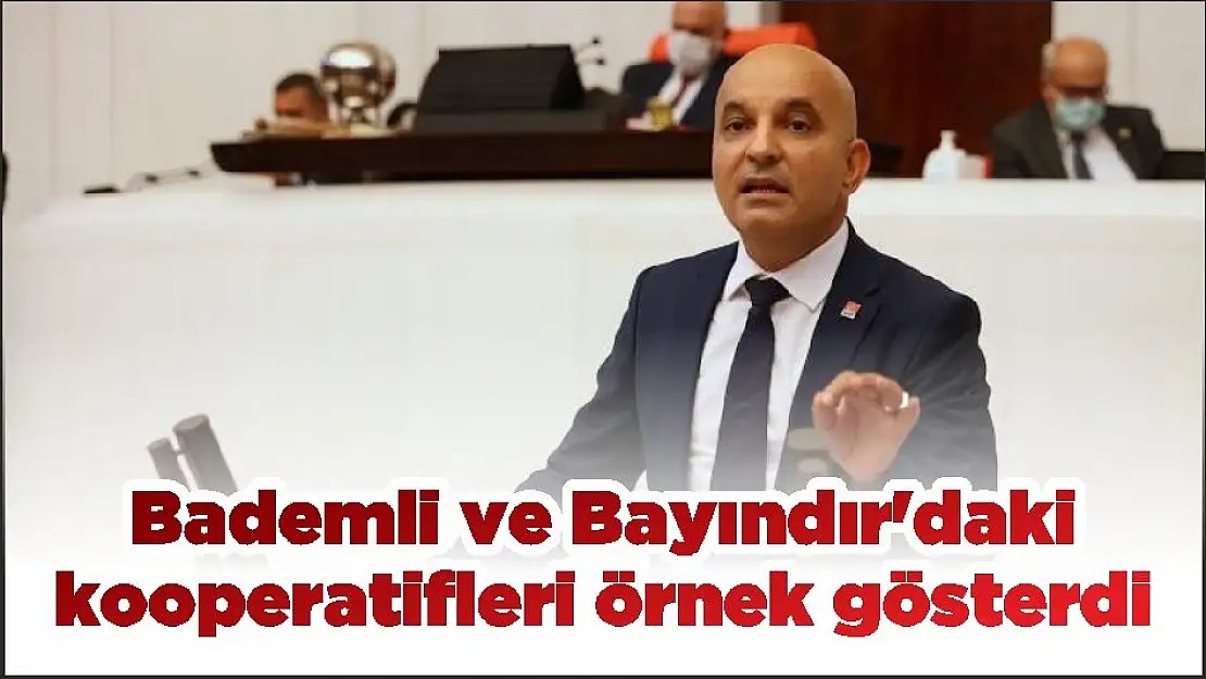 Bademli ve Bayındır'daki kooperatifleri örnek gösterdi