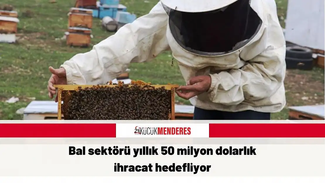 Bal sektörü yıllık 50 milyon dolarlık ihracat hedefliyor