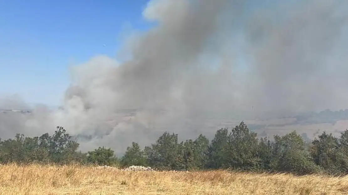 Balıkesir’de çıkan arazi yangınına müdahale ediliyor