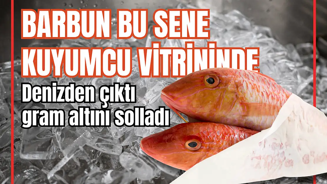 Barbun bu sene kuyumcu vitrininde