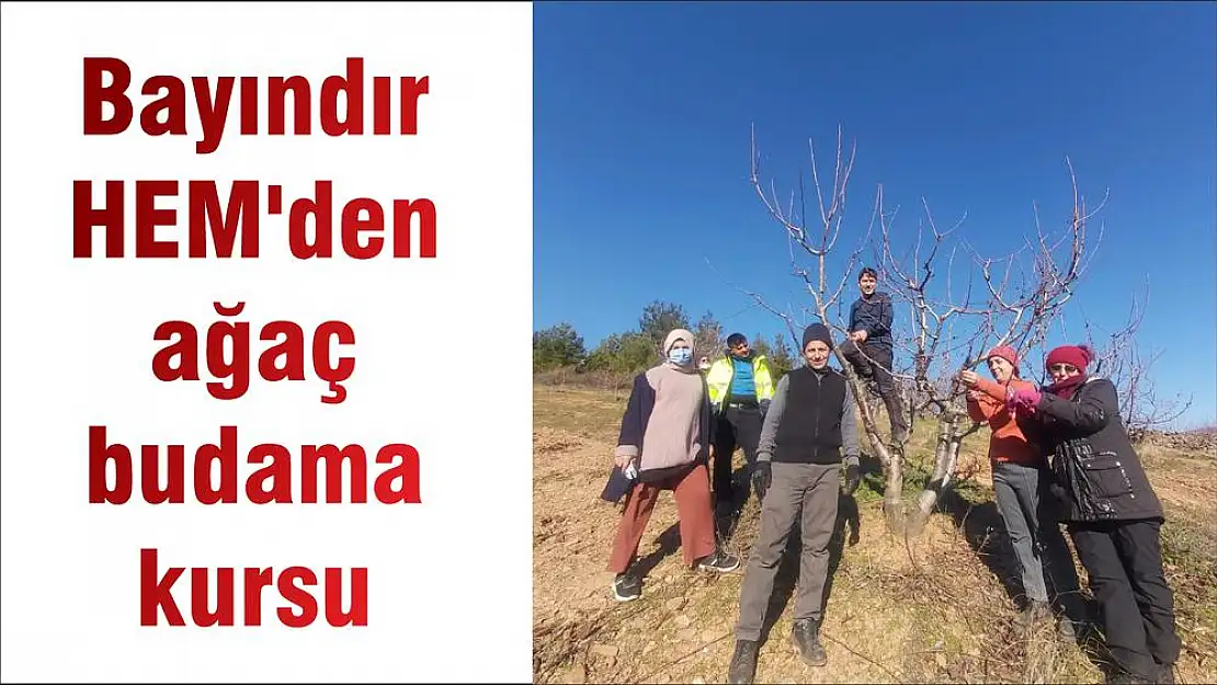 Bayındır HEM'den ağaç budama kursu