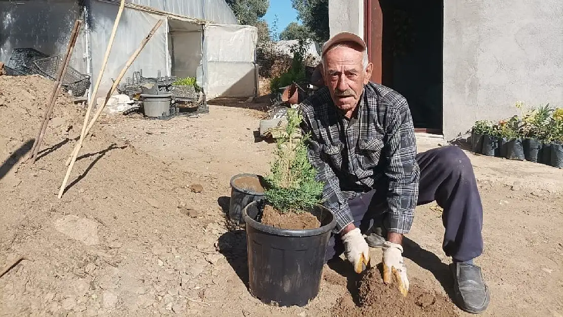 BAYINDIR'DA 82 YAŞINDA OLMASINA RAĞMEN VAR GÜCÜYLE ÇALIŞIYOR