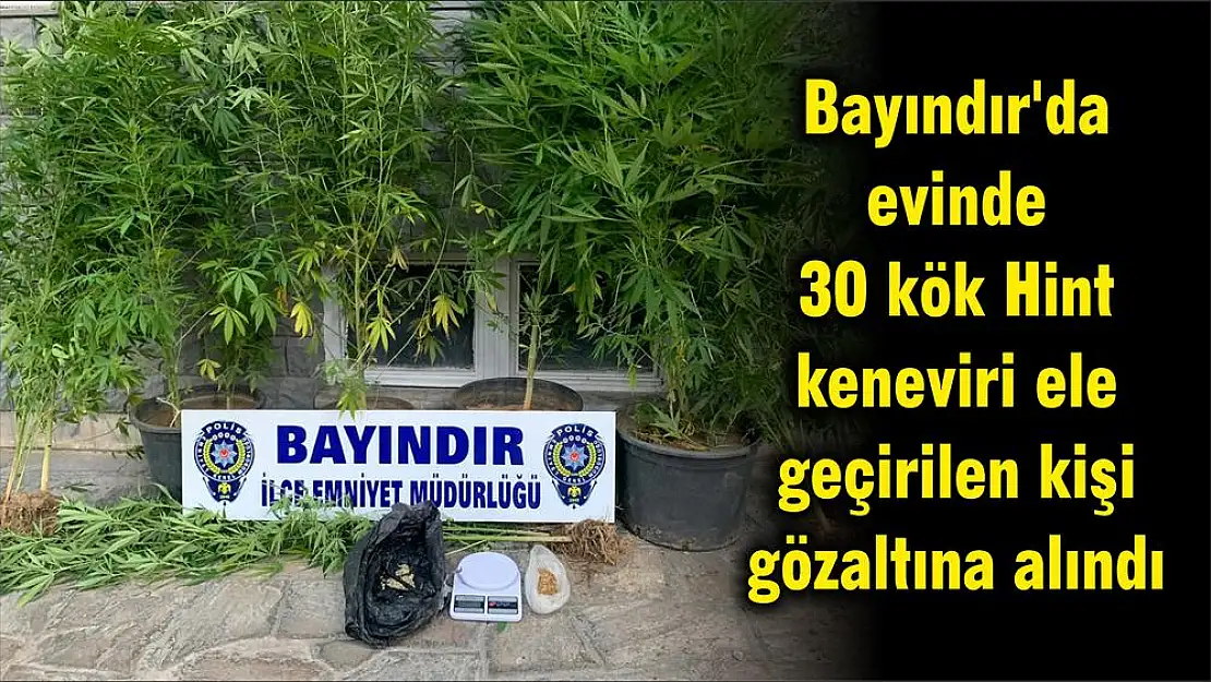 Bayındır’da evinde 30 kök Hint keneviri ele geçirilen kişi gözaltına alındı