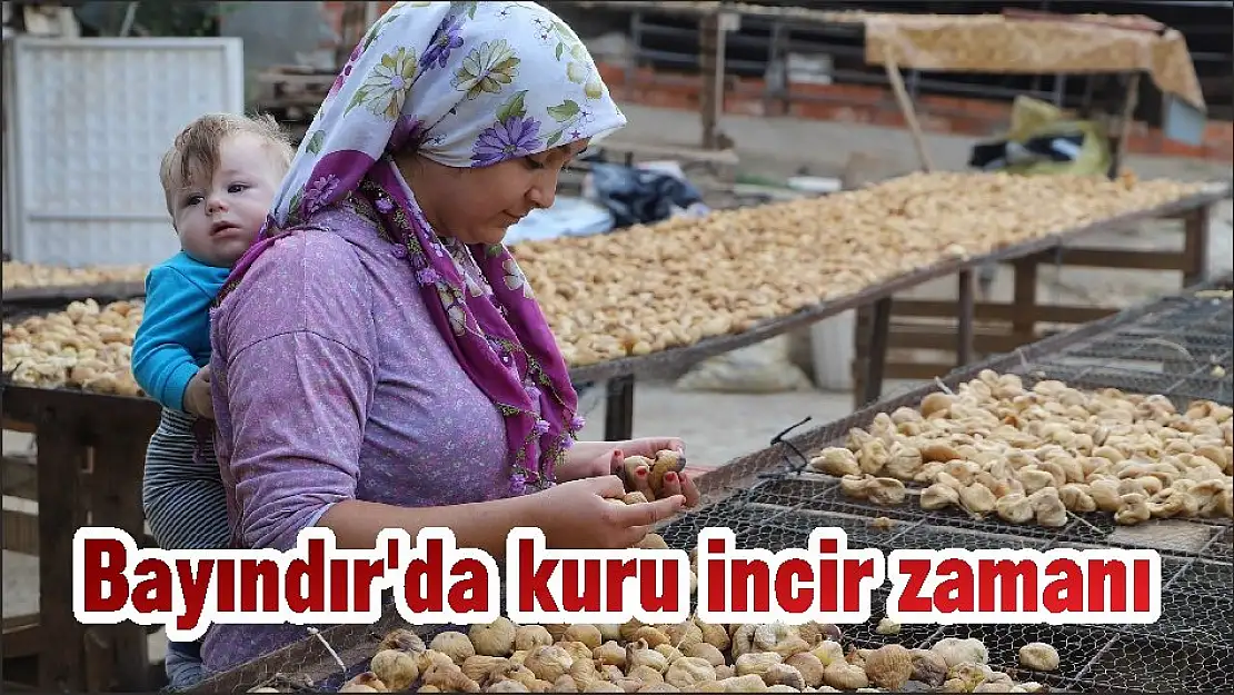 Bayındır'da kuru incir zamanı