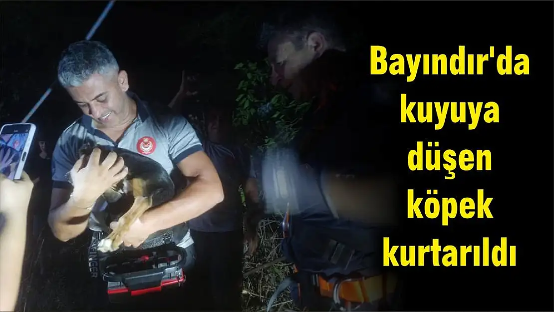 Bayındır'da kuyuya düşen köpek kurtarıldı