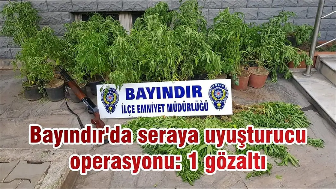 Bayındır'da seraya uyuşturucu operasyonu: 1 gözaltı