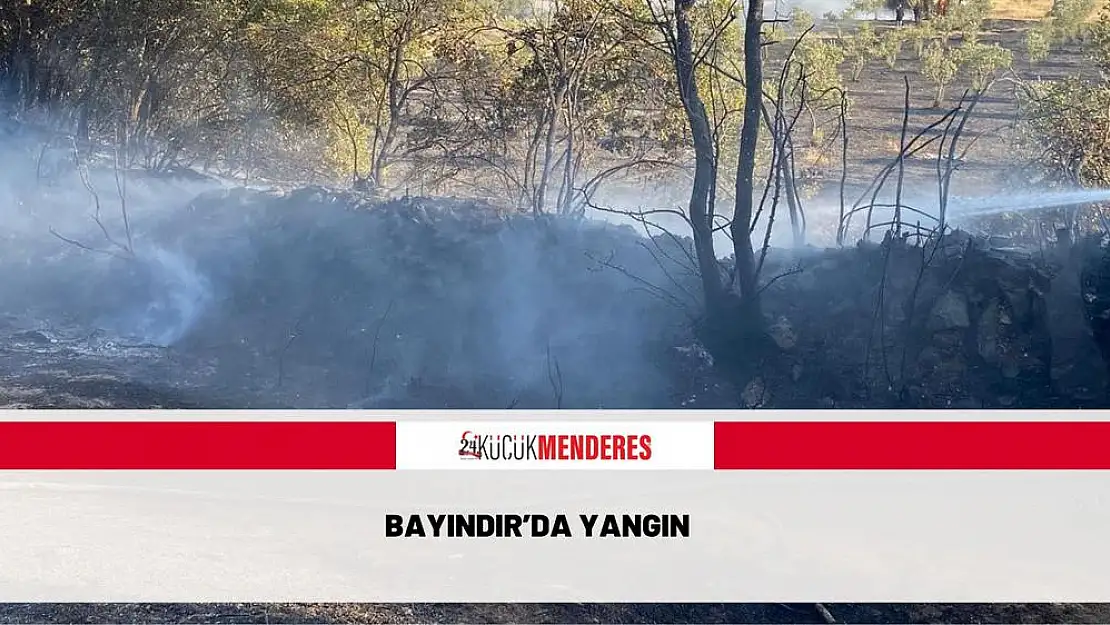 Bayındır'da yangın