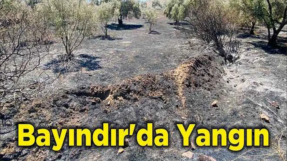 Bayındır'da Yangın