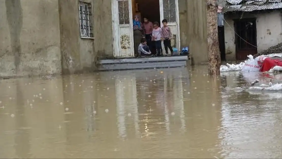 Beklenmedik Sel Felaketi Yüksekova’da Evleri Sular Altında Bıraktı ve 2 At Telef Oldu