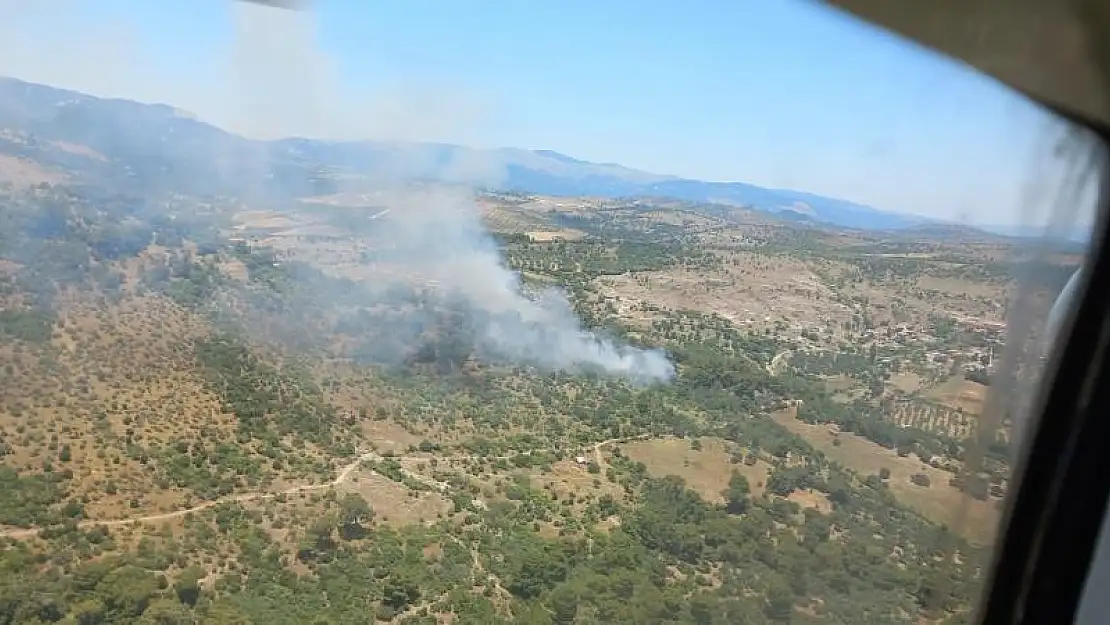 Bergama’da orman yangını…