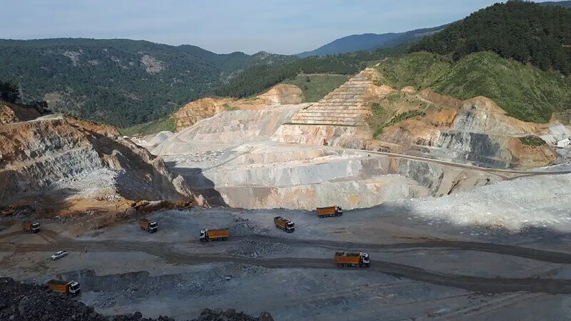 Bergama’nın endemik fıstık çamlarının ortasındaki maden, 6 kat büyütülmeye çalışılıyor