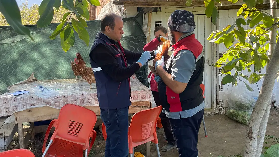 Beydağ'da Kuş Gribi Önlemi: Kanatlı Hayvanlardan Numune Toplandı