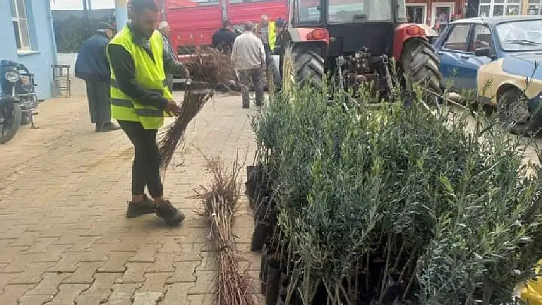 BEYDAĞ'DA FİDAN DAĞITIMI