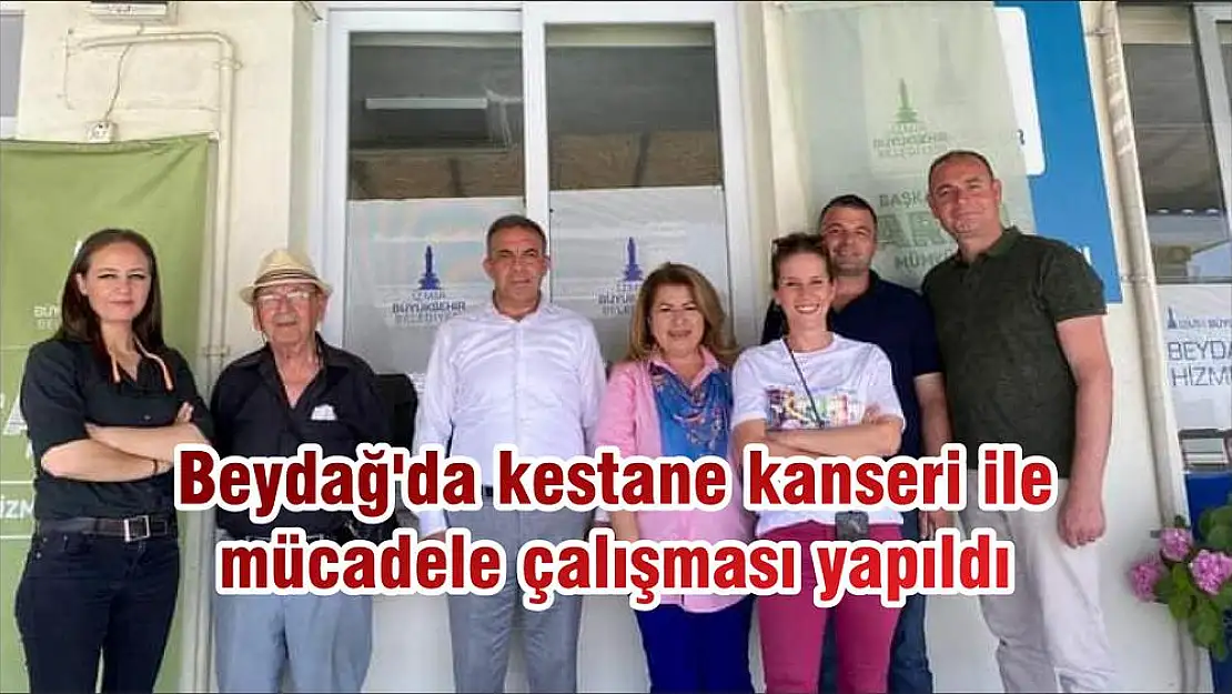 Beydağ'da kestane kanseri ile mücadele çalışması yapıldı