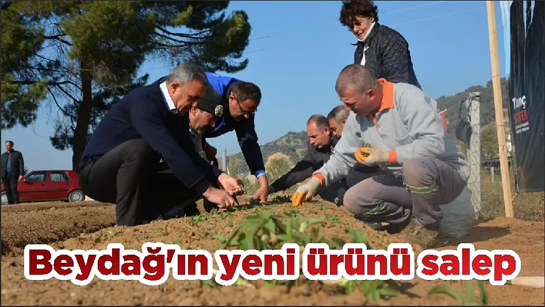 Beydağ'ın yeni ürünü salep