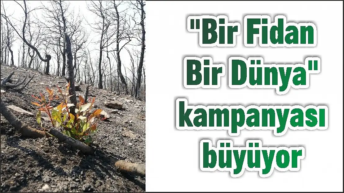 “Bir Fidan Bir Dünya” kampanyası büyüyor