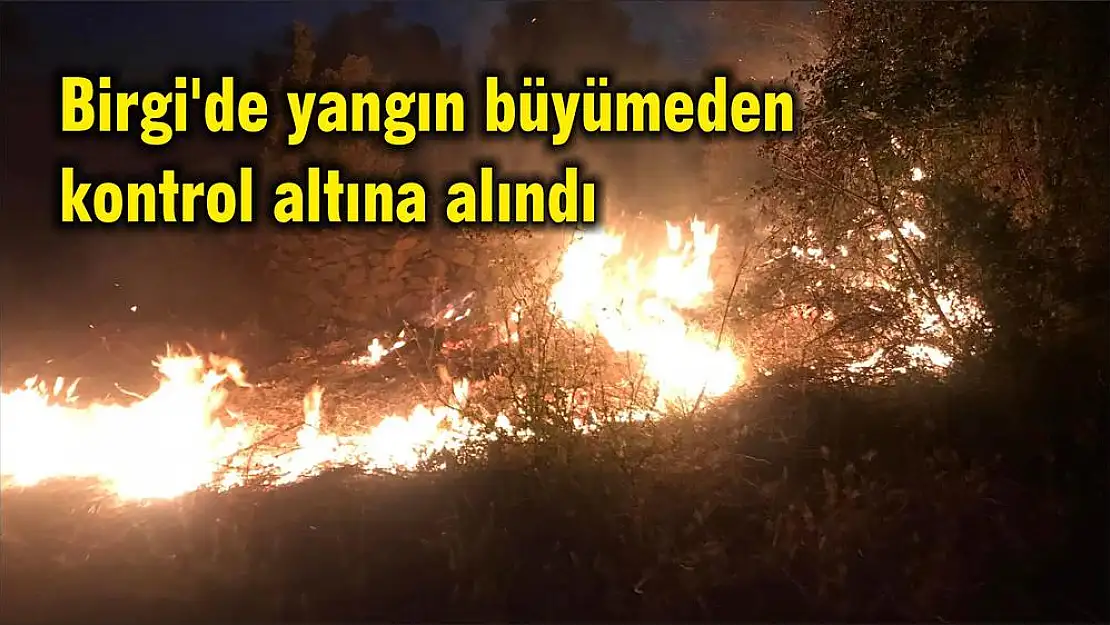 Birgi'de yangın büyümeden kontrol altına alındı