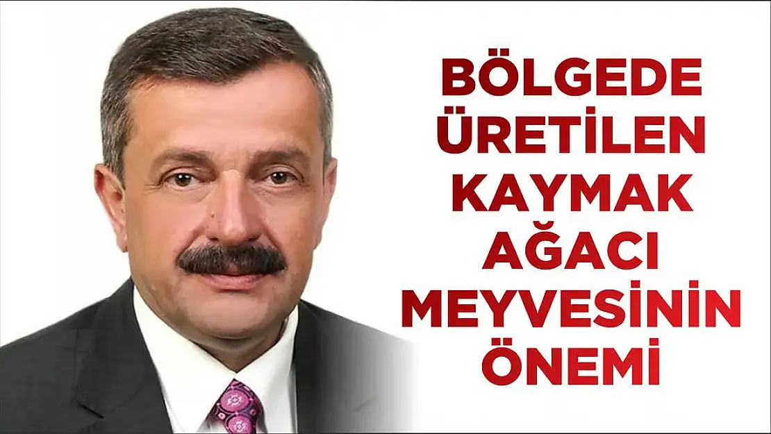 BÖLGEDE ÜRETİLEN KAYMAK AĞACI MEYVESİNİN ÖNEMİ