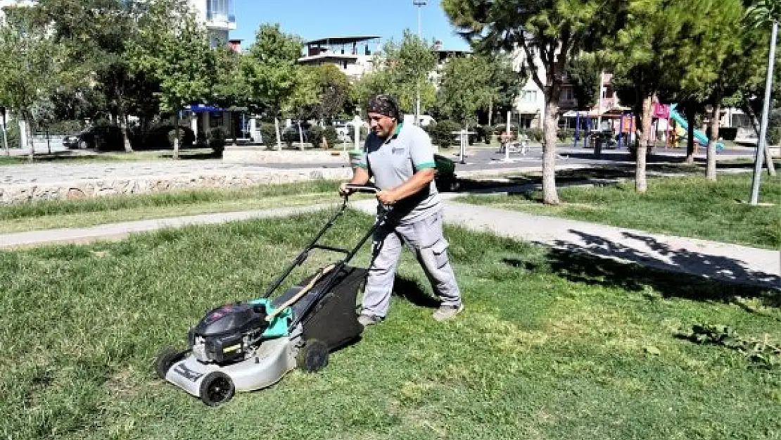 Bornova Belediyesi'nden parklara titiz bakım