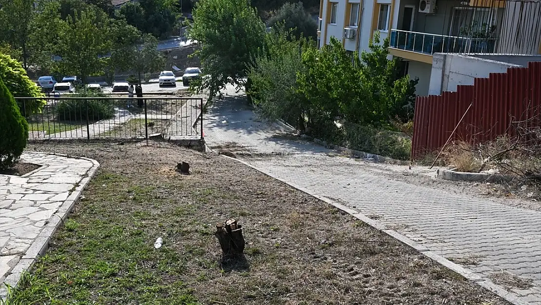 Bornova’da Belediye Ekiplerinin Ağaç Kesimi Tepki Topluyor